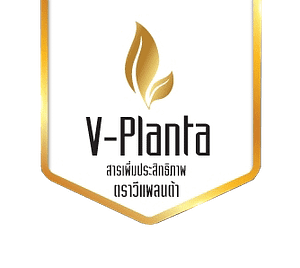 logo วีแพลนต้า vplanta